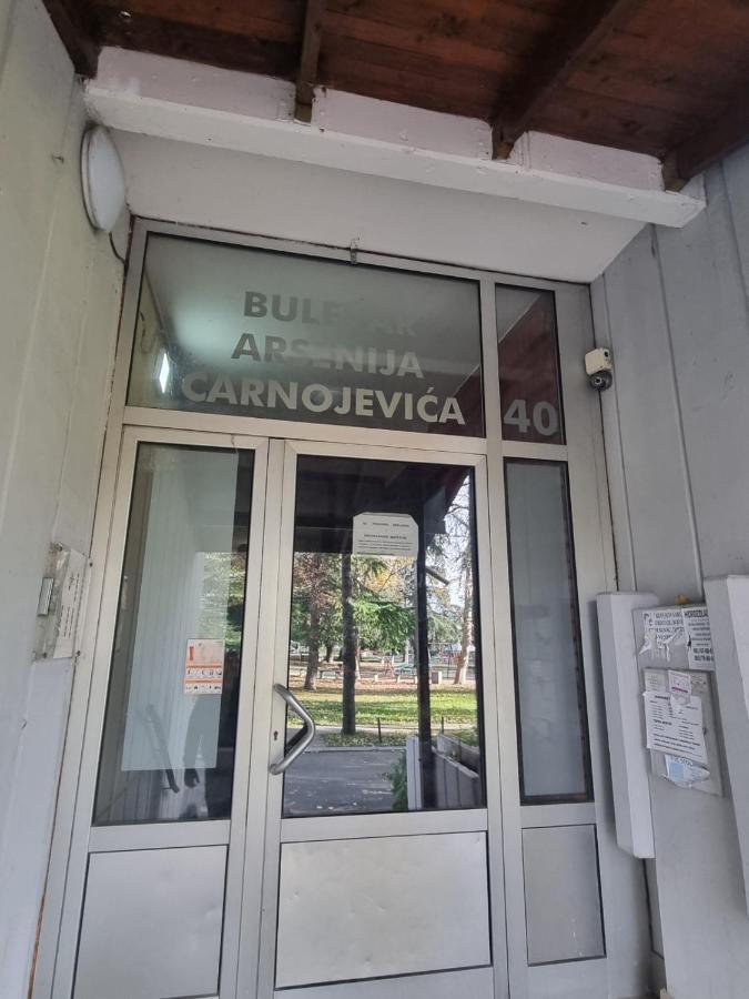 Hawaii- 2 Bdr, Arena, Sava Centar, Free Parking Appartement Belgrado Buitenkant foto